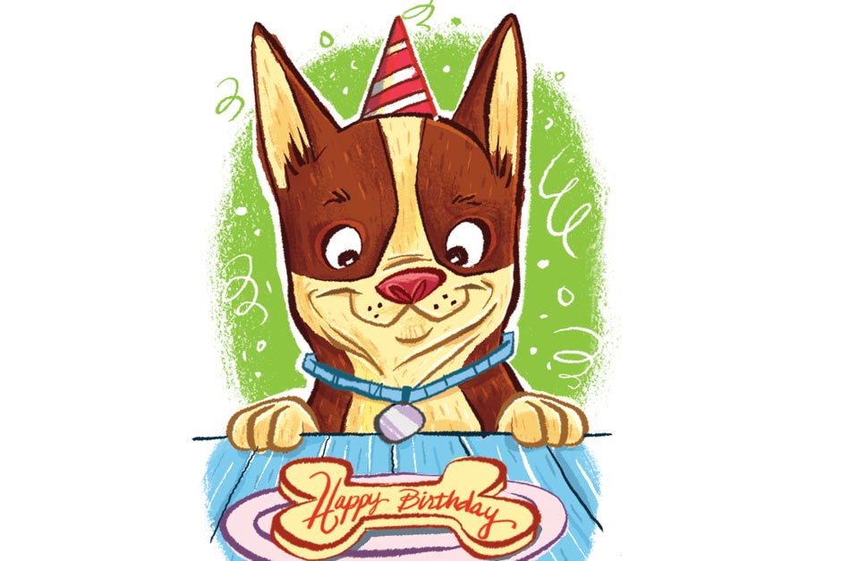 Dog's Special Birthday