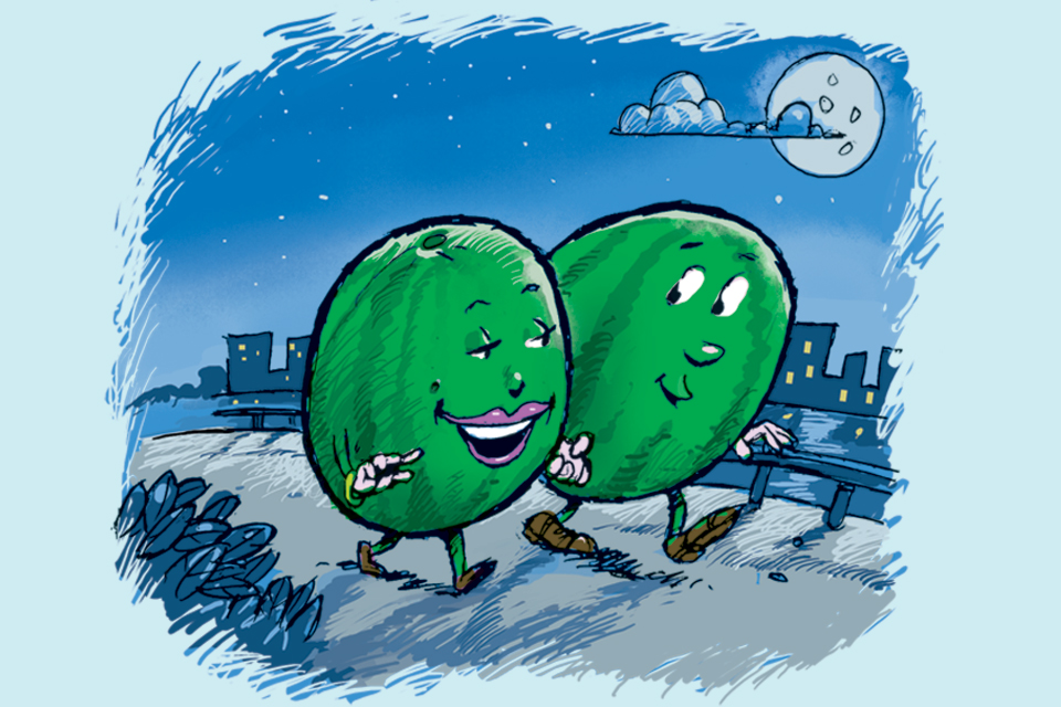 Melons in Love