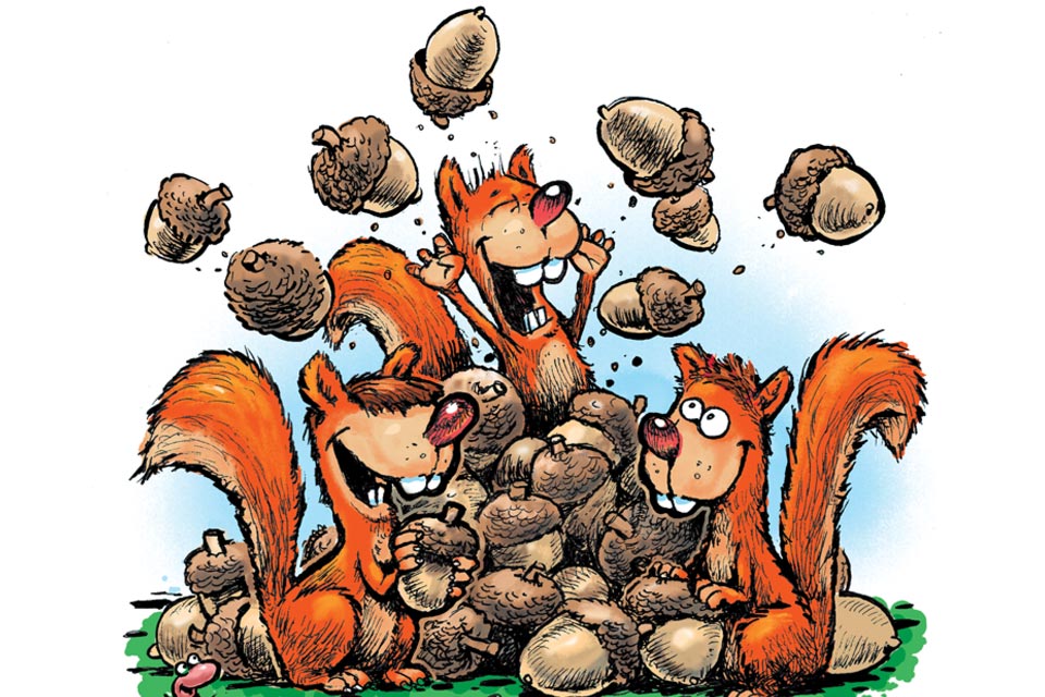 Nutty Squirrels