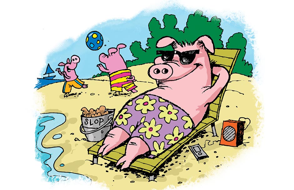 Pigs on Vacation