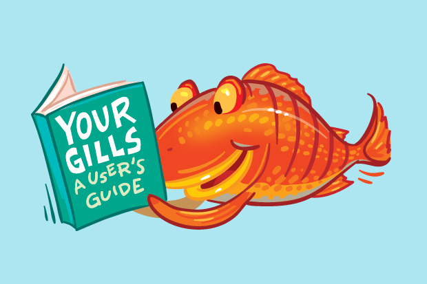 How do fish gills work?