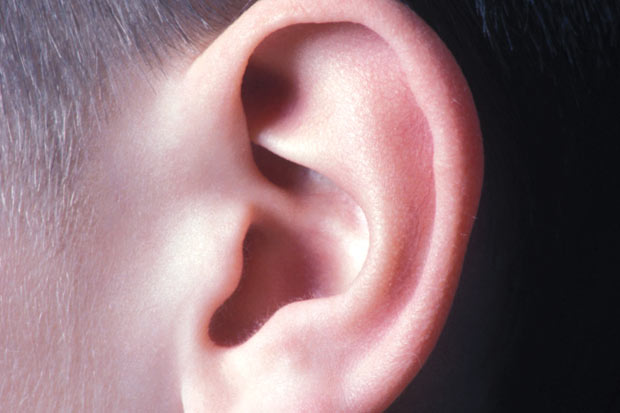 What is ear cartilage?